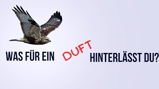 Was für ein Duft hinterlässt du schweizerdeutsch [upl. by Malan883]