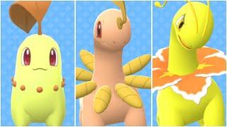 FULL CHIKORITA EVOLUTION TEAM Shiny Chikorita Shiny Bayleaf Shiny Meganium [upl. by Ymorej]