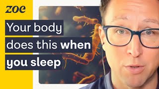 How to reduce overnight gut inflammation  Dr Will Bulsiewicz amp Prof Tim Spector [upl. by Onitnevuj]