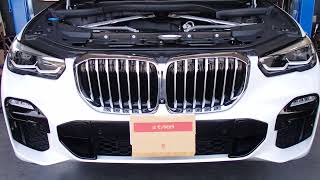 【B57D30A】2019 BMW X5 30dx G05 原動機型式打刻位置【車検用】 [upl. by Notecnirp]