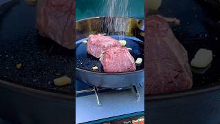 FILETS on the menu while SOLO camping solocamping camping cooking steak outdoorcooking [upl. by Gran]