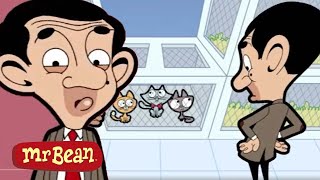 Mr Bean AT THE PET SHOP  Funny Clips MrBean Cartoon MrBean Official [upl. by Conlin]