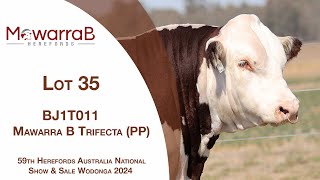 Lot 35 Mawarra B Trifecta PP [upl. by Ymas]