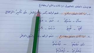 نائب الفاعل قواعد اللغة العربية للصف الثاني متوسط ص ٦٩  ست مريم [upl. by Nawaj194]