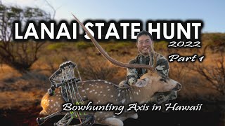 Hawaii Bowhunting  Lanai State Hunt 2022 Part 1 [upl. by Oilisab]