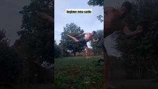 beginner mma cardio for karate taekwondo kickboxing cardio aerobic exercise fitness [upl. by Bourke]