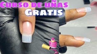 CLASE1 como aplicar uñas de acrílico para principiantestip natural [upl. by Oswald524]