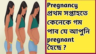 Pregnancy Symptoms Week 1 in Assamese 2024  Assamese Pregnancy [upl. by Gannon585]