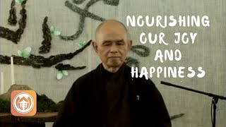 Nourishing Our Joy amp Happiness  Thich Nhat Hanh short teaching video [upl. by Hughett597]