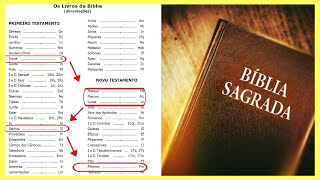 Como Ler a Bíblia Sequencia de Leitura Bíblica para Começar a Ler e Entender a Bíblia Corretamente [upl. by Arais116]