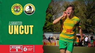 Linnets Uncut Widnes H [upl. by Gae458]