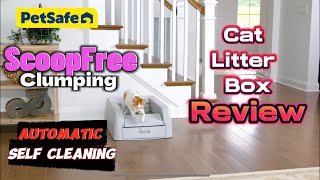 🐱 PetSafe ScoopFree Clumping Automatic Self Cleaning Cat Litter Box Review  Smart Choice [upl. by Anaizit721]