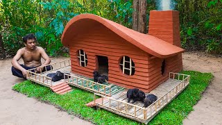 Rescue Puppies and Build Beautiful Dog House for Puppy [upl. by Nocaj]