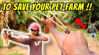 🕊️ The Best Way to Save My PET FARM  தரமான சம்பவம் பண்ணலாம் 💥  slingshot [upl. by Lyndon]