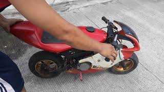 Pocket bike ninja 49cc testing [upl. by Pry]