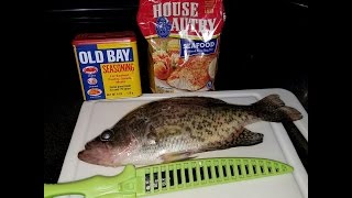 Catch and Cook Crappie  DMV Style [upl. by Jamal]