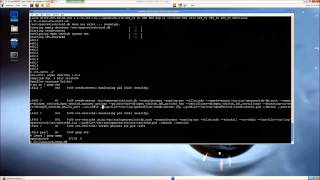 6WINDs 6WINDGate Open vSwitch Acceleration Benchmark Demo [upl. by Earl]