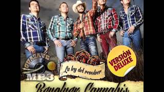 Revolver Cannabis Sal Limon Y Un Trago De Tequila Estreno 2014 Completa [upl. by Jenei199]