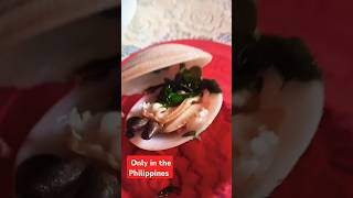 Seafoods Island lifeshortsYoutubeshortsviralshortsvideoshortsfeedtrending [upl. by Petrina433]