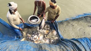 Catch fish using mini water pump  fishing exciting  diy tractor shots fishing trending nitkash [upl. by Capps]