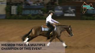 Dog jumps into arena on NRHA championship run [upl. by Cash]