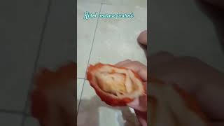 Risoles mayonaise jajanan risolesmayonaise viralvideo food like [upl. by Eniluqcaj148]