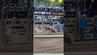 PBR Deadwood Great Ride 8 Seconds Elijah Mora shorts pbr bullriding rodeo bulls [upl. by Desirae]