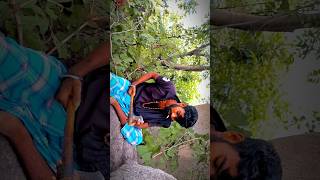 Pushpa 2  😱 सस्ता pushpa raj 😁  Action short film 🔥 trending 2024 comedy south film industry [upl. by Geof639]