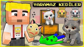 EFEKAN VE KEDİLERİ YARAMAZLIK YAPIYOR 😂  Minecraft [upl. by Ahsinuq]