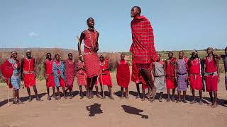 Maasai jumping contest [upl. by Brittnee]