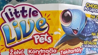 Cobi  Little Live Pets  Interaktywny Niebieski Żółw Gwiazda z Basenem  28046  MegaDyskontpl [upl. by Llerdnam400]