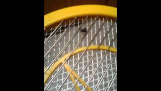 Electric fly swatter [upl. by Still]