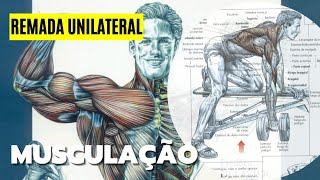 O QUE É REMADA UNILATERAL Musculação [upl. by Ednalrym412]