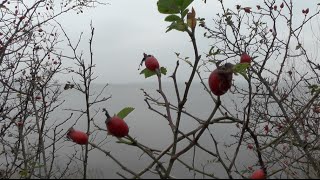 am bodden  einhard luther [upl. by Talbert]