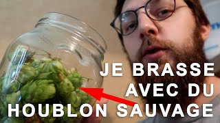 Je brasse une bière au houblon sauvage [upl. by Caffrey]