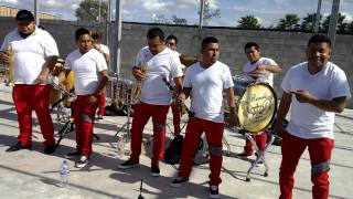 Banda Reyna Tarasca de Mexicali La Vida Recia [upl. by Rocco]