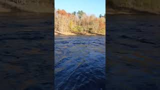 Maine Fly Fishing Kennebec River [upl. by Morly]