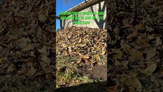 Mowing and Raking Hella Leaves automobile minecraft [upl. by Aisat375]