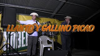 LLANTO Y GALLINO PICAO FIESTA DE SEVERINO FRÍAS EN PEÑA RODÁ DE LAS TABLAS [upl. by Cortie]