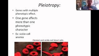 Mendelian Genetics Part II [upl. by Rolyat]