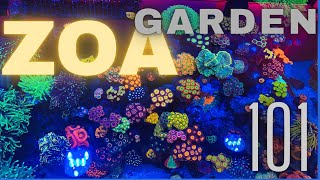 Zoanthid Garden How to [upl. by Saenihp]