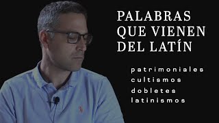 PALABRAS que vienen del LATÍN [upl. by Lithea]