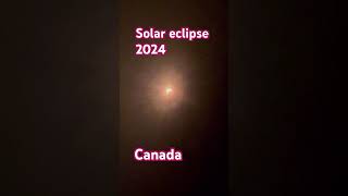 2024 Total Solar eclipse Halifax Nova Scotiasolareclipse halifax2024shorts [upl. by Elledoj]