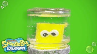 DIY Holiday Gift Guide Snowglobe  SpongeBob [upl. by Gasper]