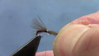 Fly Tying with Hans CDC MIDGE EMERGER [upl. by Anitsirc]