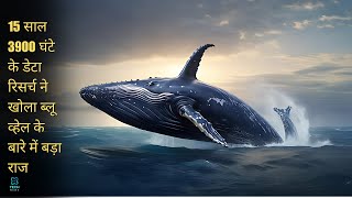 🐋 Unbelievable Whale Sounds Revealed 🎶 Scientists Stunned by Discovery 🌊 [upl. by Anelehs]