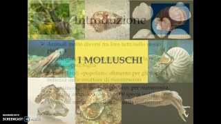 I molluschi [upl. by Narud]