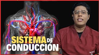 Sistema de Conducción del Corazón Explicación Fácil  DOCTOR VARGAS [upl. by Davon303]