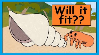 Hermit Crab Song  Fun Song For Kids  Smiley Rhymes [upl. by Nonrev984]