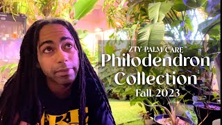 Philodendron Collection Fall 2023 ZTY PALM CARE 17 Philos [upl. by Sheya880]